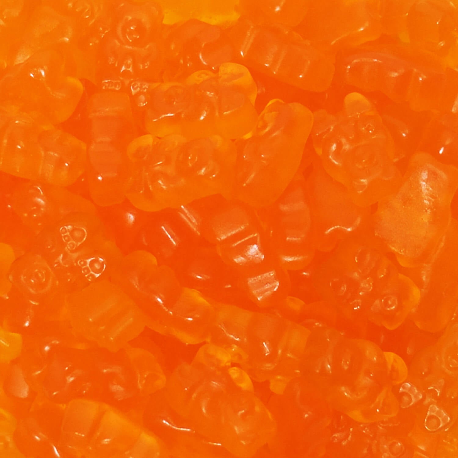 Oursons orange