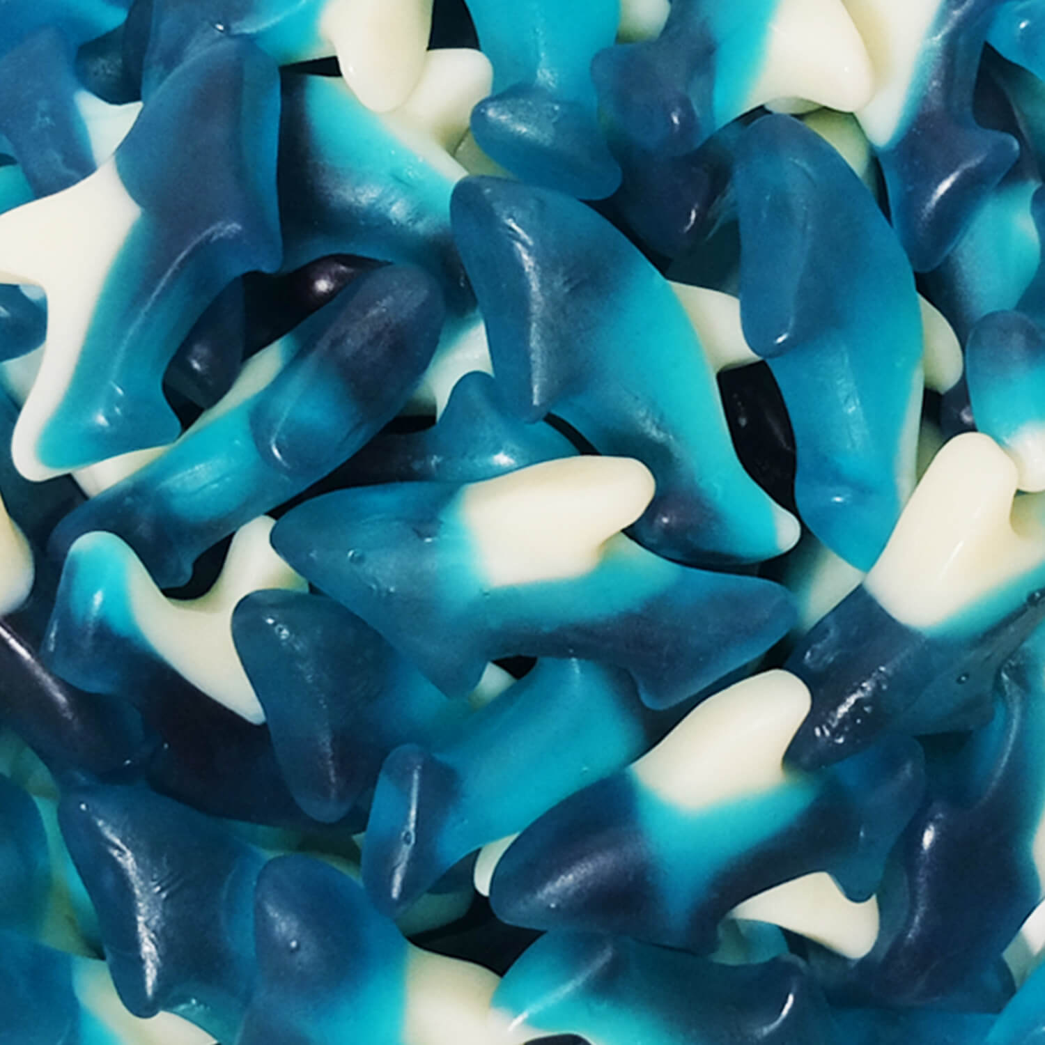 Requins bleus gommeux