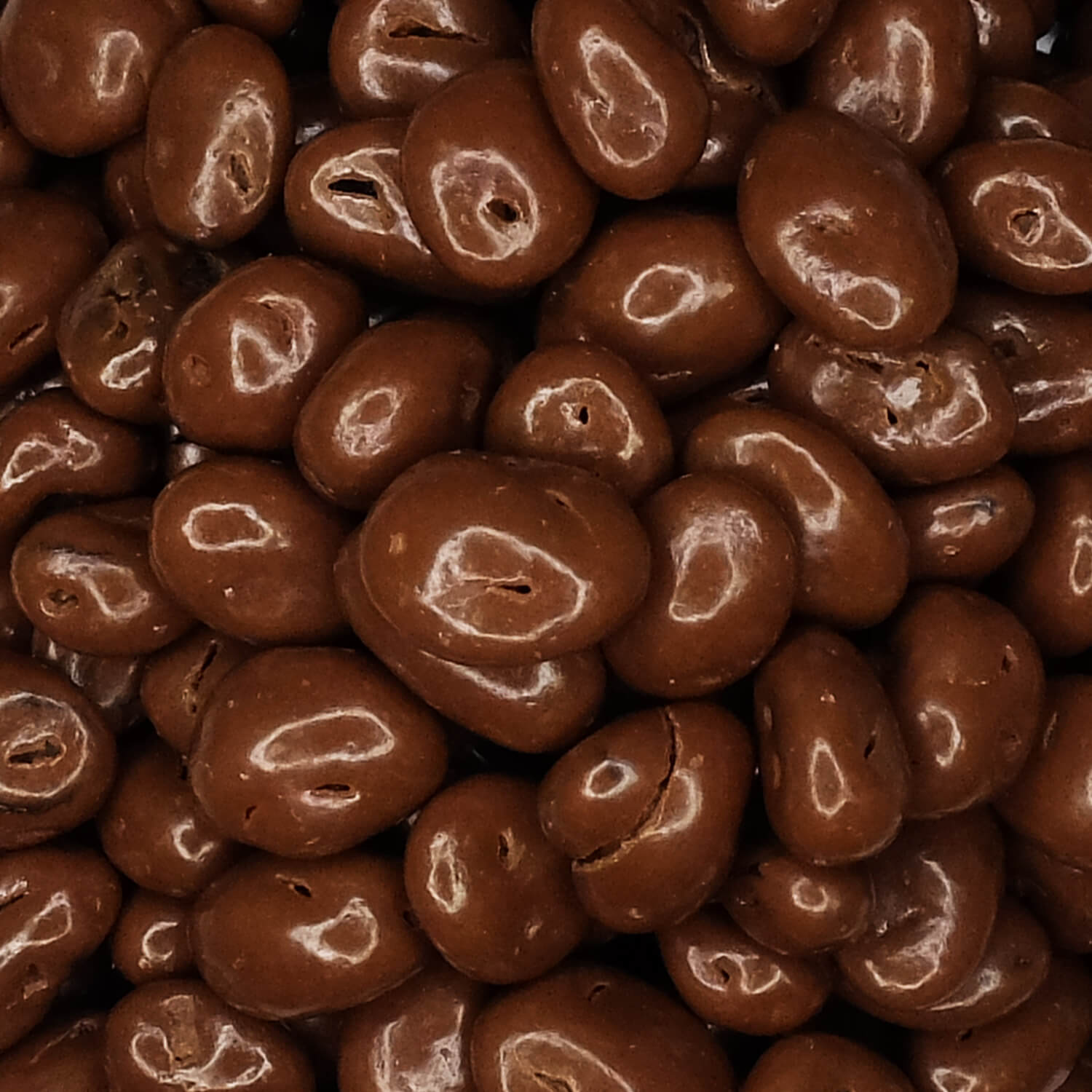 Milk chocolate raisins