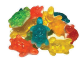 Assorted Turtles