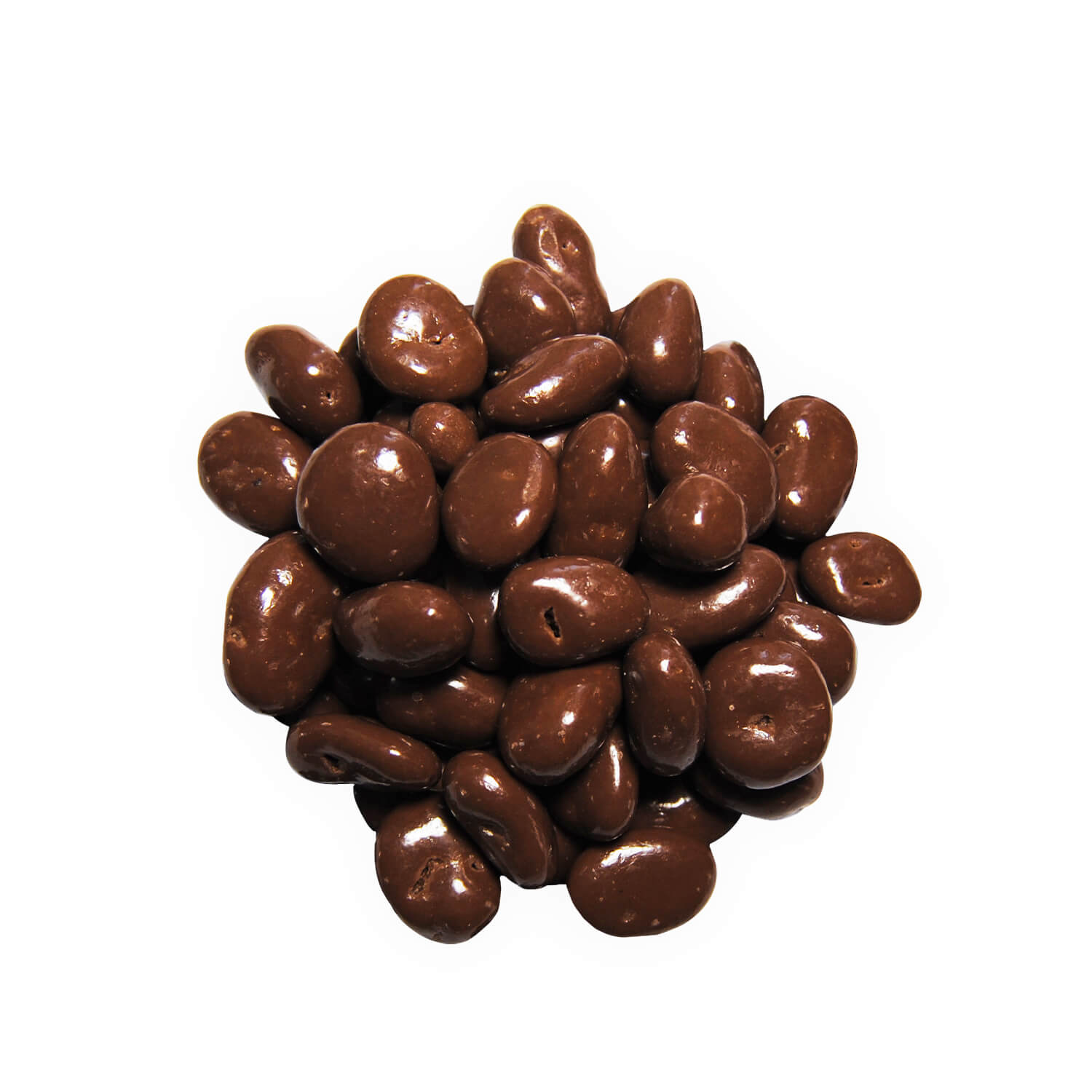 Gold label milk chocolate raisins