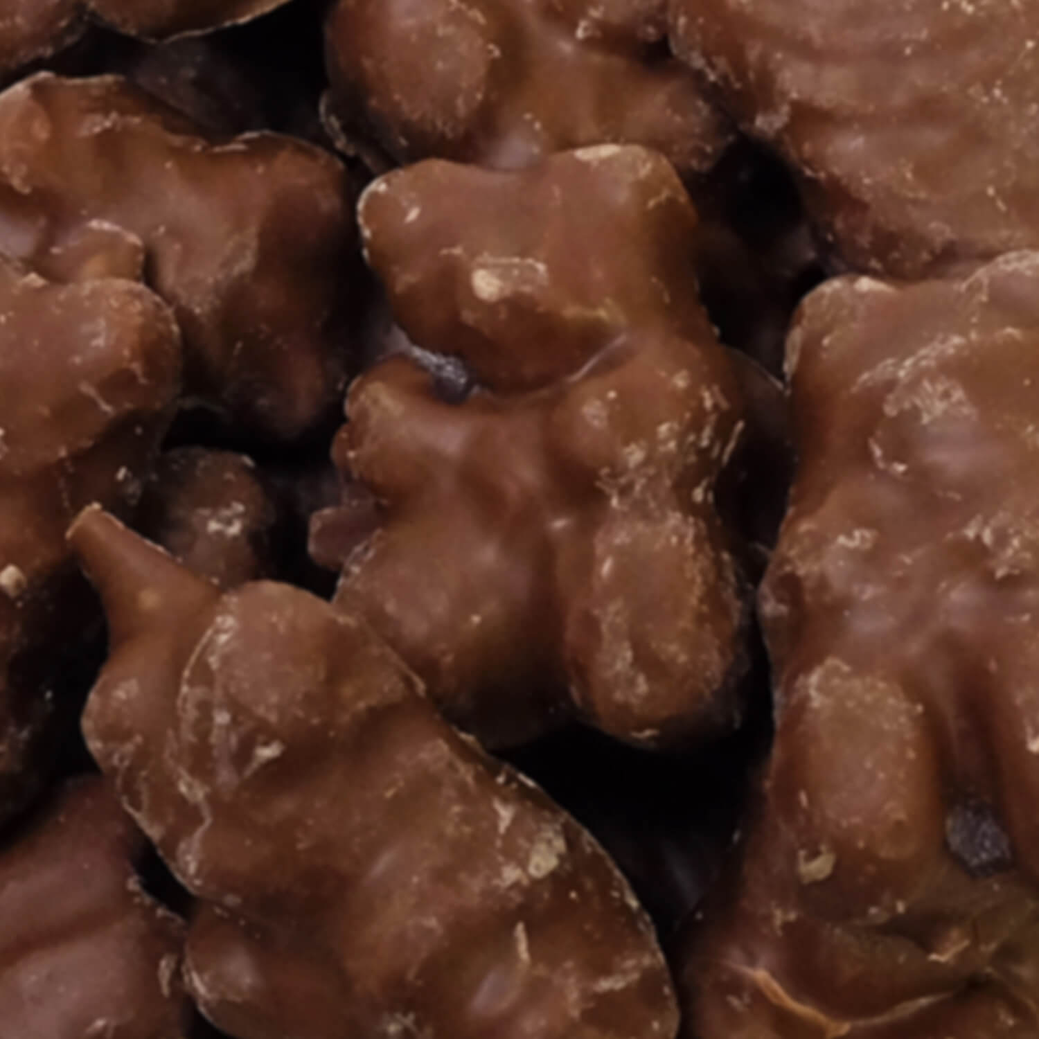 Milk chocolate gummy bears