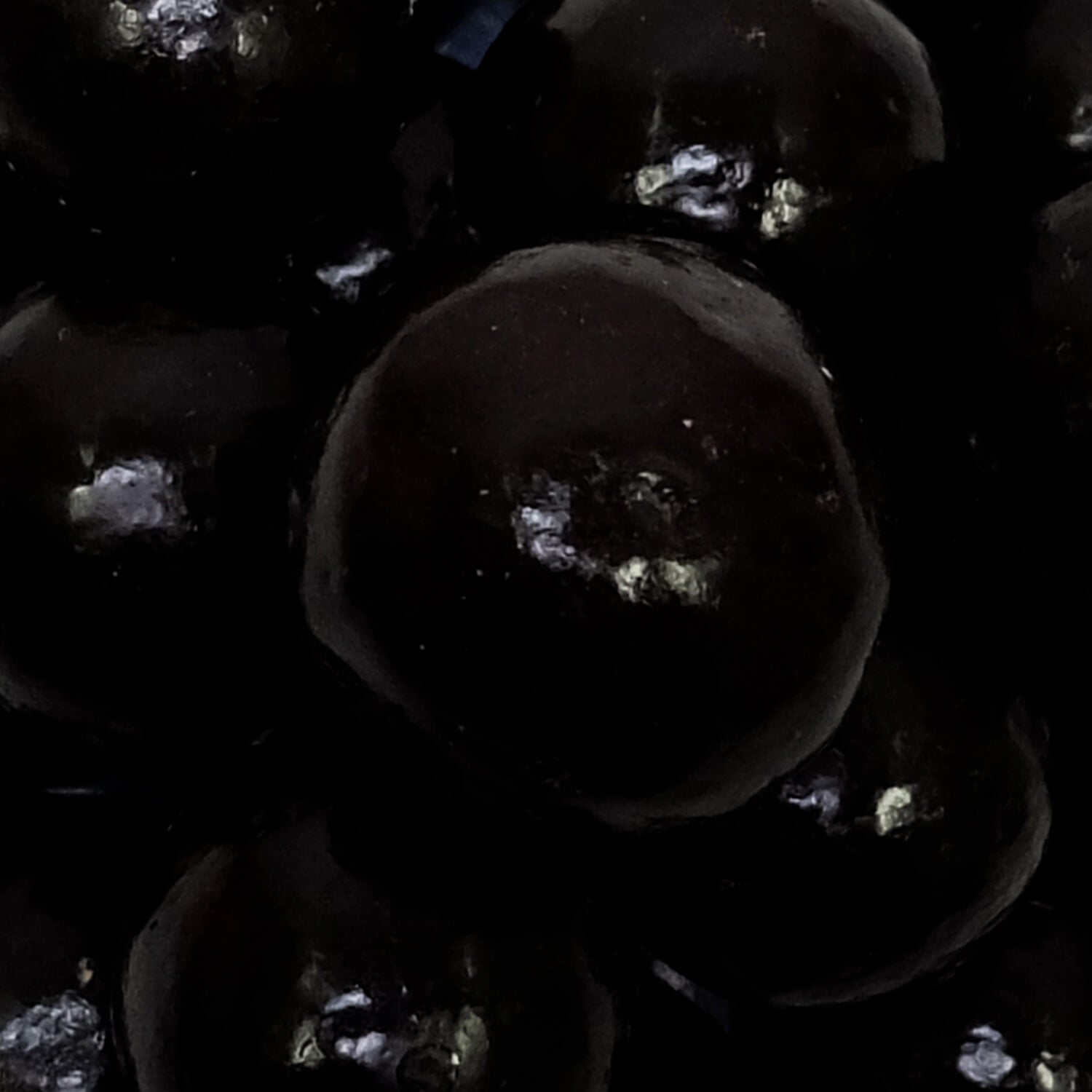 Gold label dark chocolate maltballs