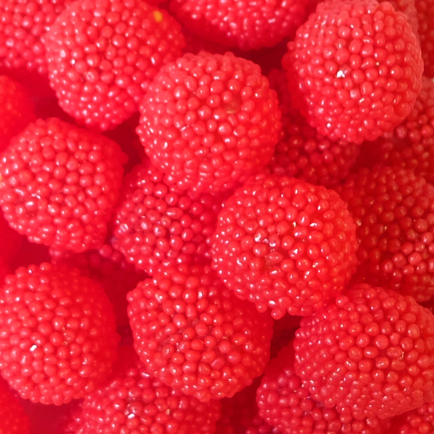 Lunaires à la fraise