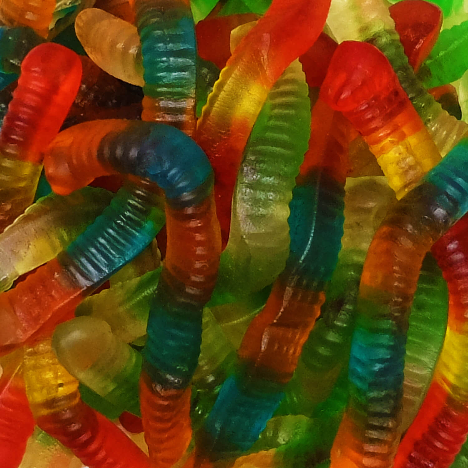 Wiggly gummi worms (4inch)
